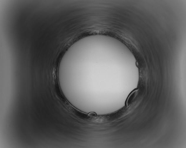 X0000098150127200804171204