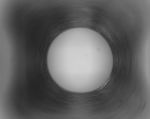 X0000098150128200804171204