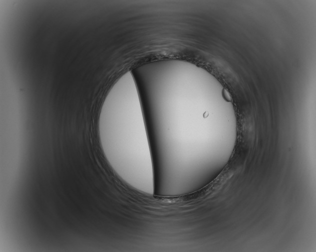 X0000098150129200804171204