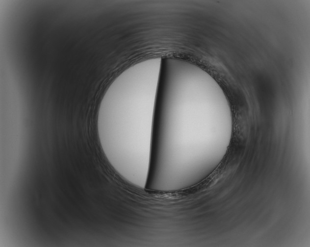 X0000098150131200804171204