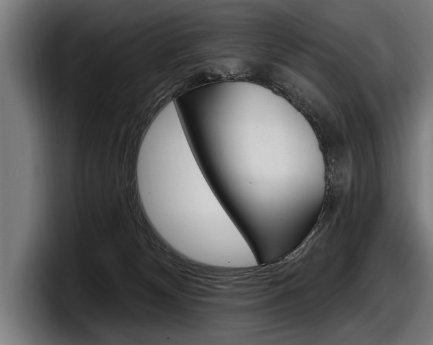 X0000098150132200804171204