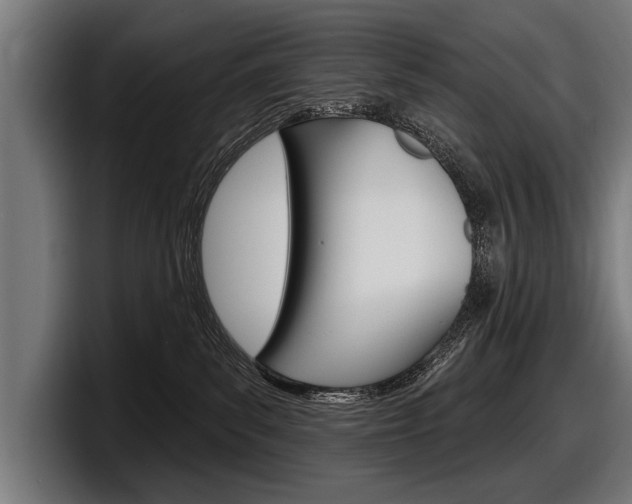 X0000098150139200804171204