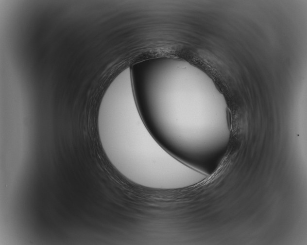 X0000098150140200804171204