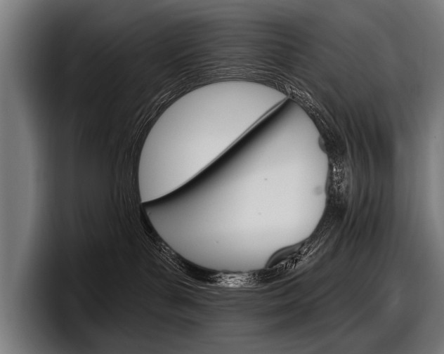 X0000098150143200804171204