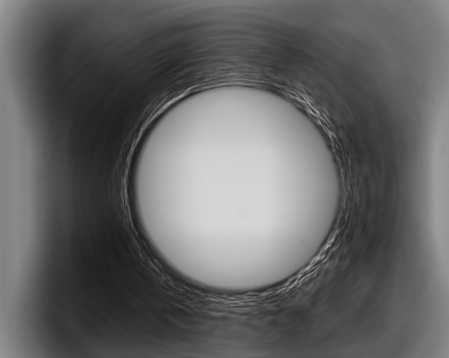 X0000098150146200804171204