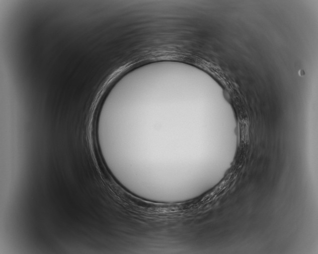 X0000098150147200804171204