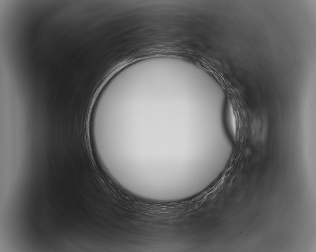 X0000098150148200804171204