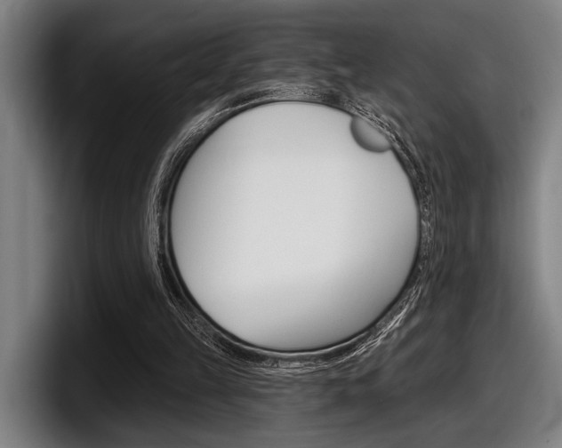 X0000098150149200804171204