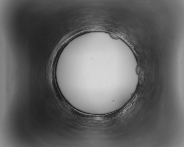 X0000098150151200804171204