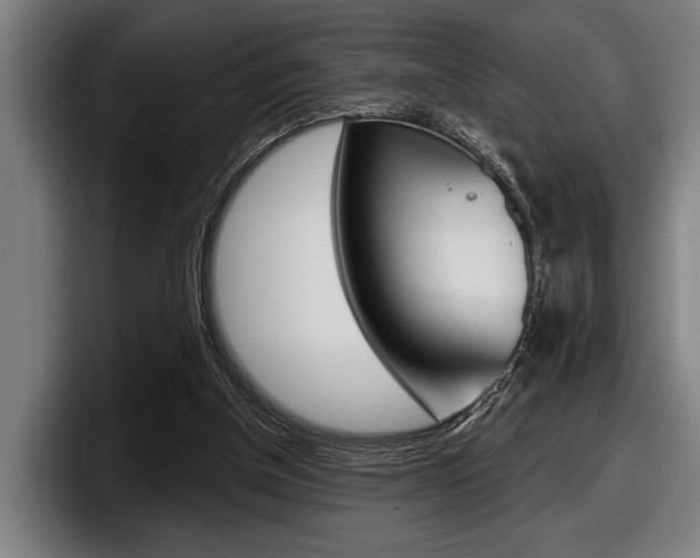 X0000098150154200804171204
