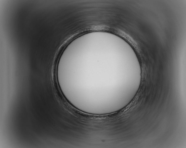 X0000098150155200804171204
