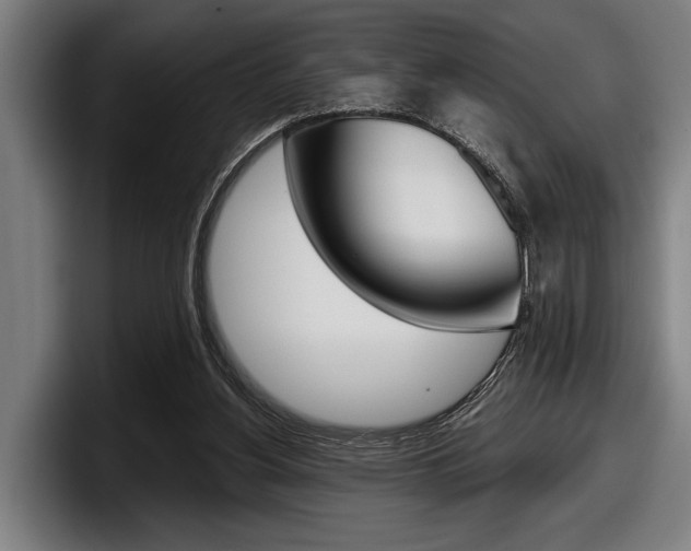 X0000098150156200804171204