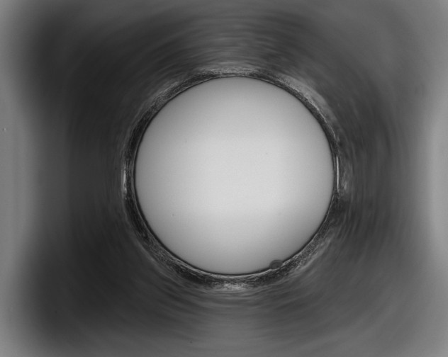 X0000098150157200804171204