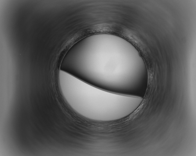 X0000098150158200804171204