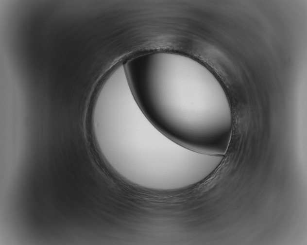 X0000098150160200804171204