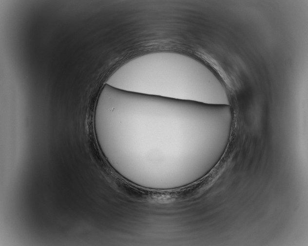 X0000098150161200804171204