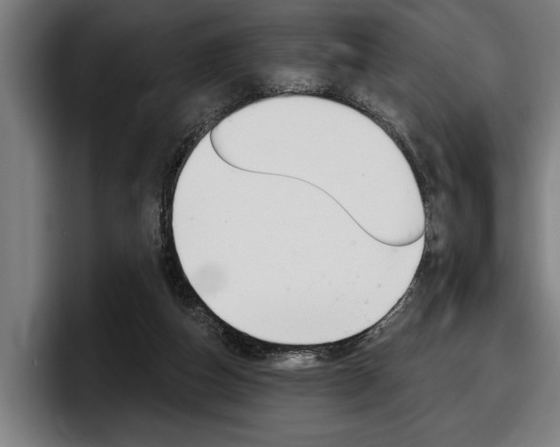 X0000098150162200804171204