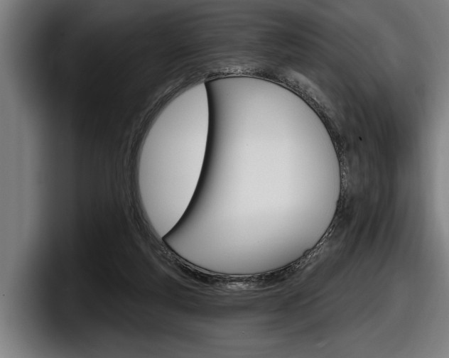 X0000098150163200804171204