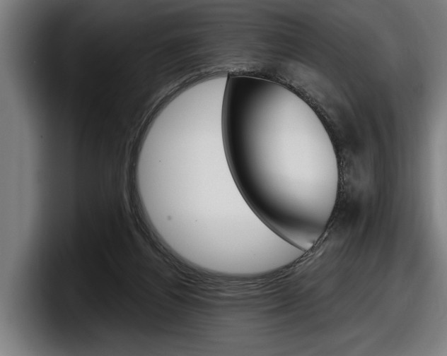 X0000098150164200804171204