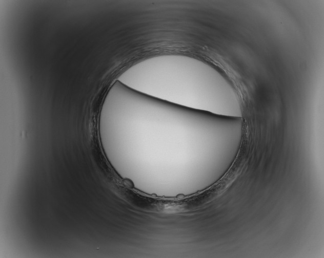 X0000098150165200804171204