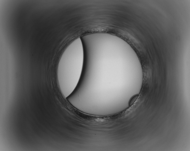 X0000098150166200804171204