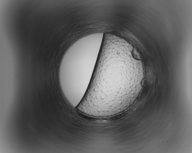 X0000098150169200804171204