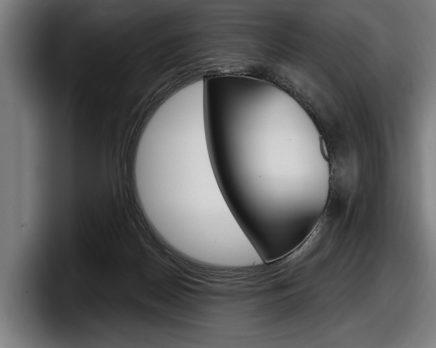 X0000098150170200804171204