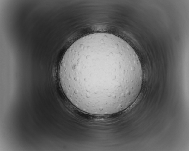 X0000098150171200804171204