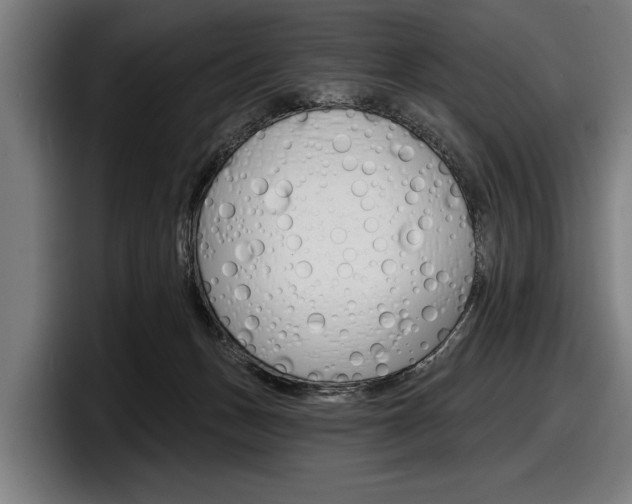 X0000098150175200804171204