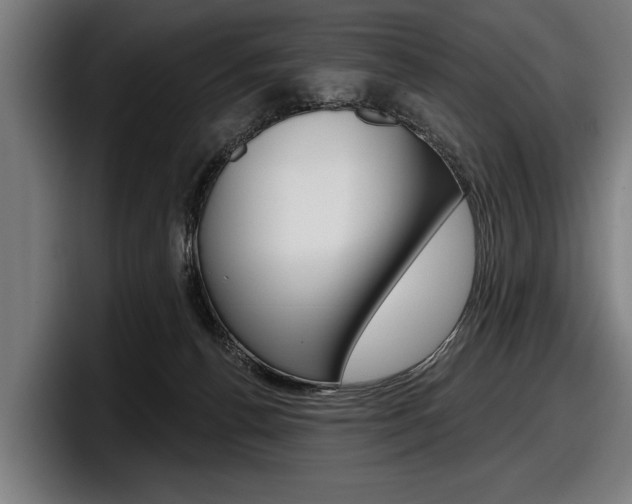 X0000098150176200804171204