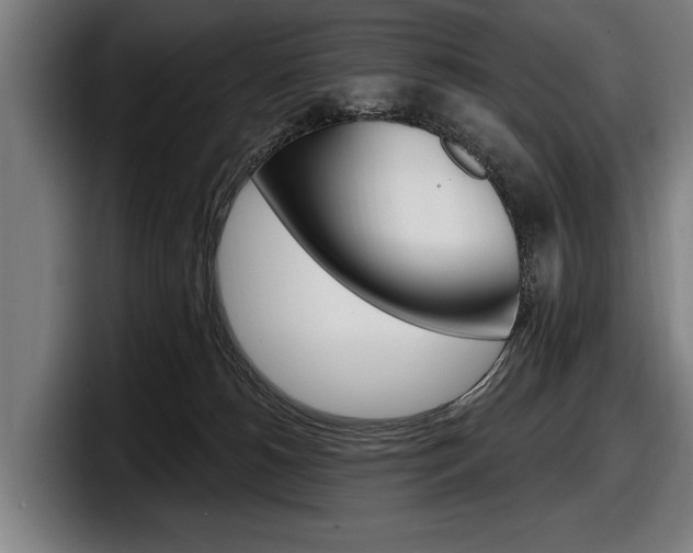 X0000098150180200804171204