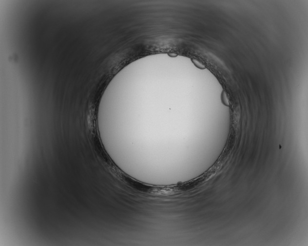 X0000098150181200804171204