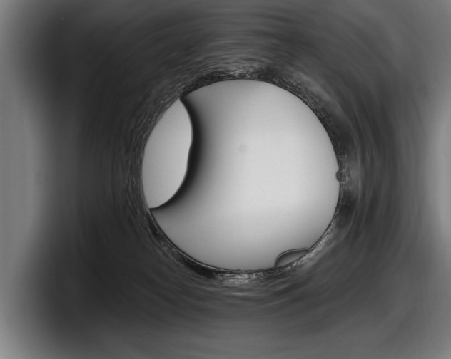 X0000098150182200804171204