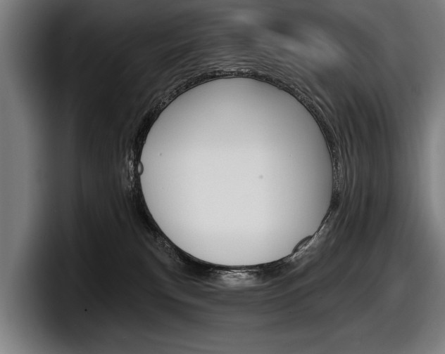 X0000098150183200804171204