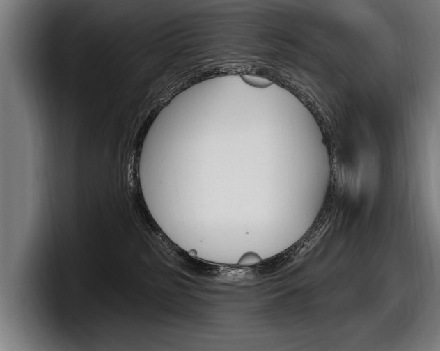 X0000098150185200804171204