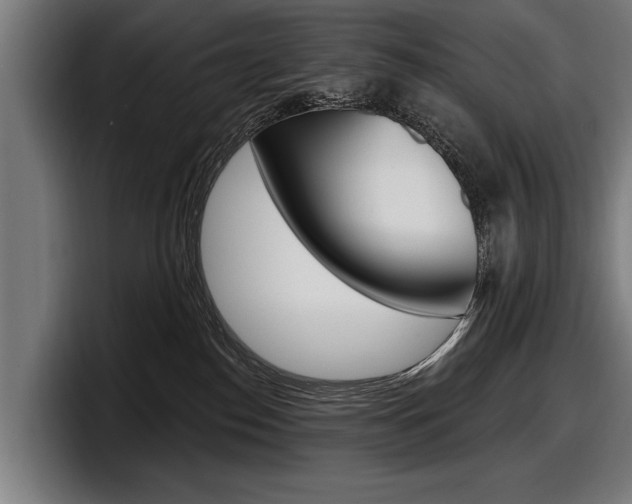 X0000098150186200804171204