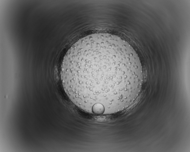 X0000098150187200804171204