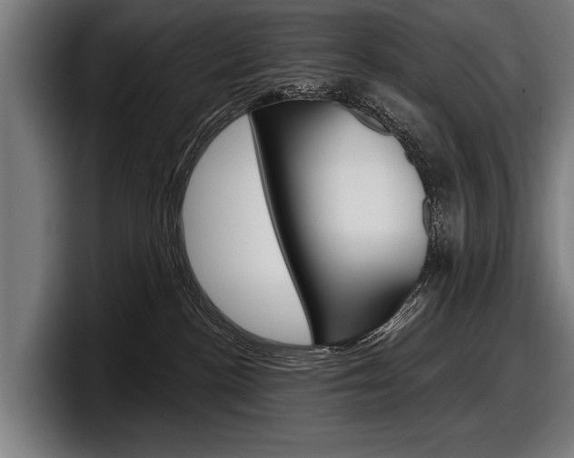 X0000098150188200804171204