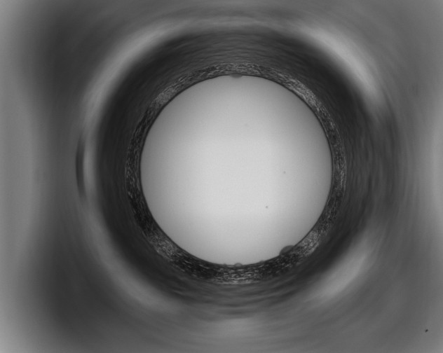 X0000098150189200804171204