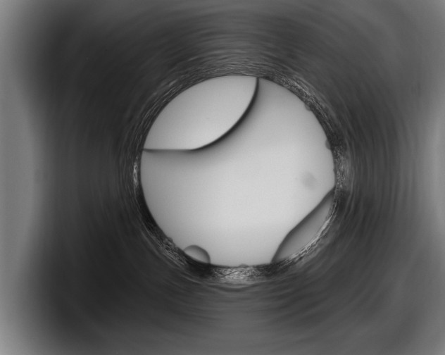 X0000098150191200804171204