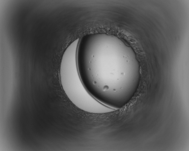 X0000098150192200804171204