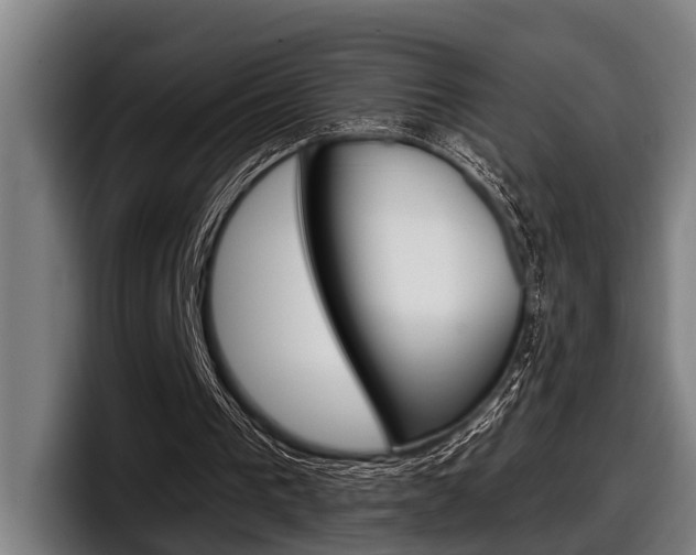 X0000098150193200804171204