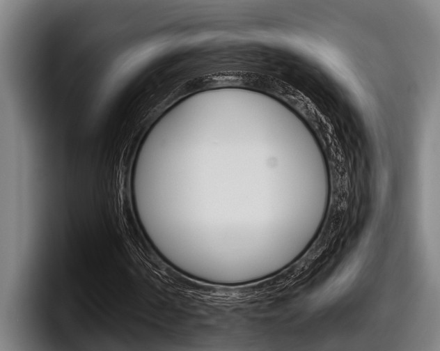 X0000098150194200804171204