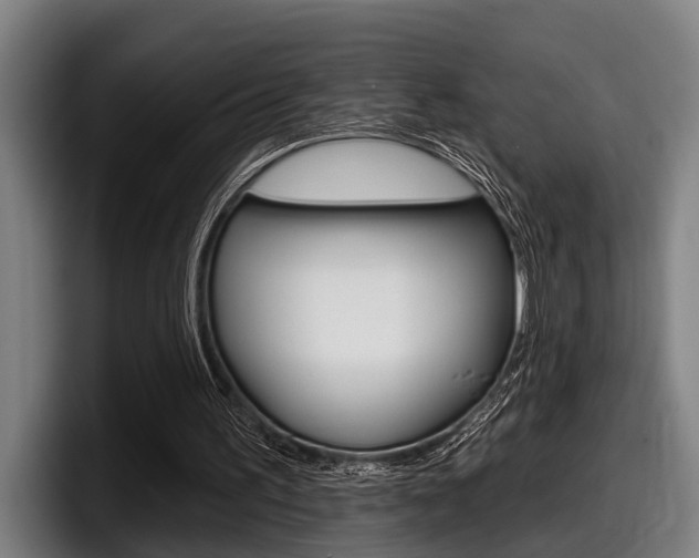 X0000098150195200804171204