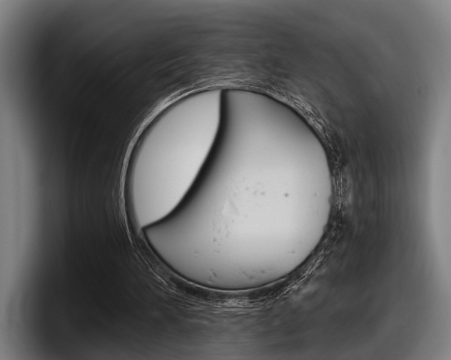 X0000098150196200804171204