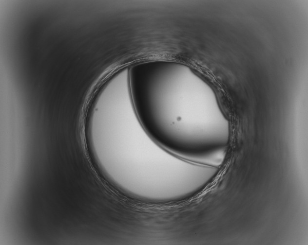 X0000098150197200804171204
