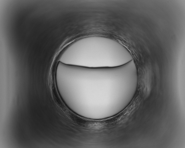 X0000098150198200804171203