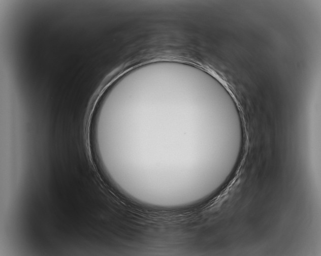 X0000098150199200804171203