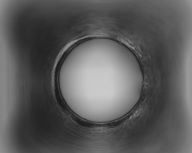 X0000098150200200804171203