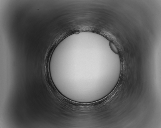X0000098150202200804171203